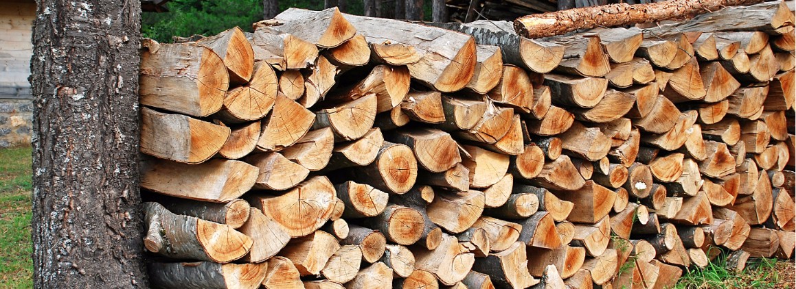 Reliable Firewood for Sale Firewood for Sale